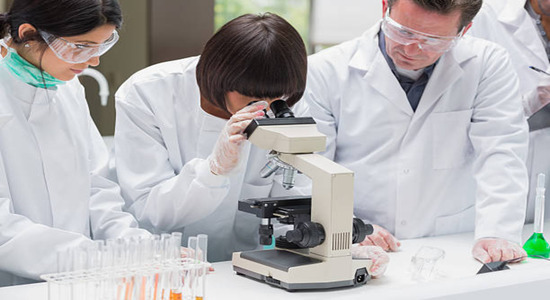 Diploma in Pharmacy